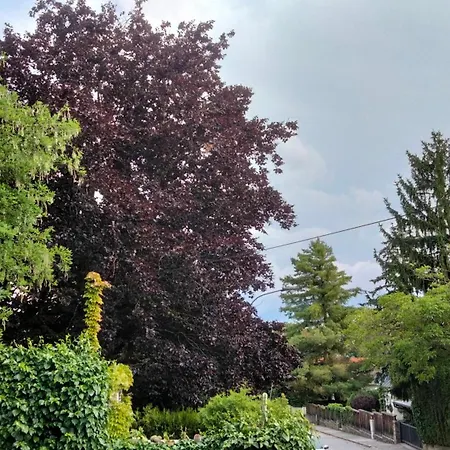 Apartment White Baden