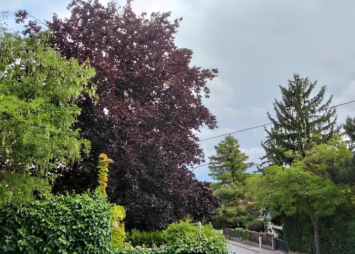 Apartment White Baden